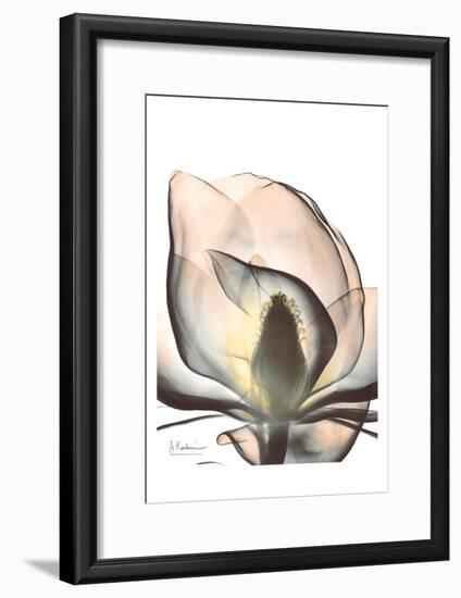 Magnolia Close Up-Albert Koetsier-Framed Art Print