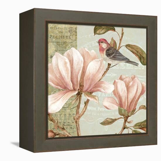 Magnolia Collage I-Pamela Gladding-Framed Stretched Canvas