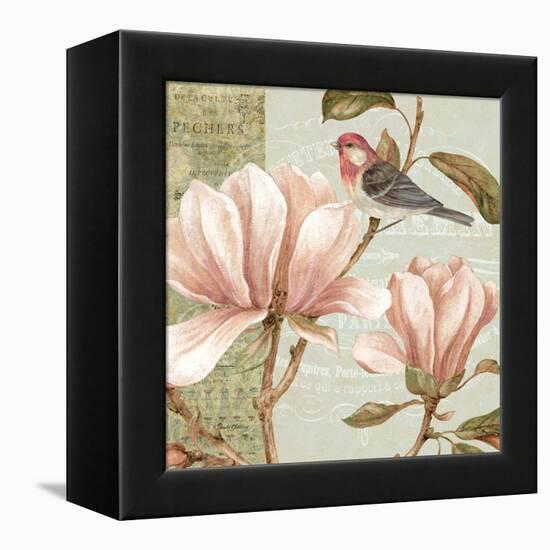 Magnolia Collage I-Pamela Gladding-Framed Stretched Canvas