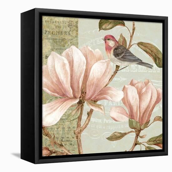 Magnolia Collage I-Pamela Gladding-Framed Stretched Canvas