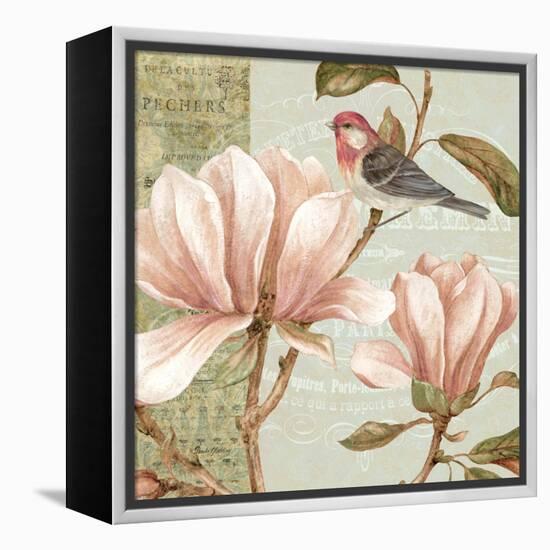Magnolia Collage I-Pamela Gladding-Framed Stretched Canvas
