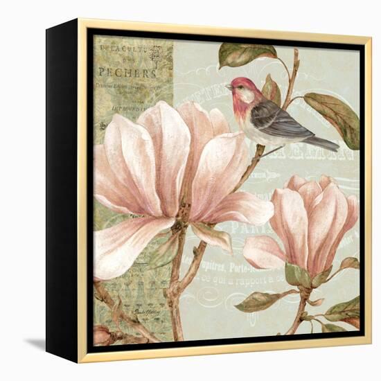 Magnolia Collage I-Pamela Gladding-Framed Stretched Canvas