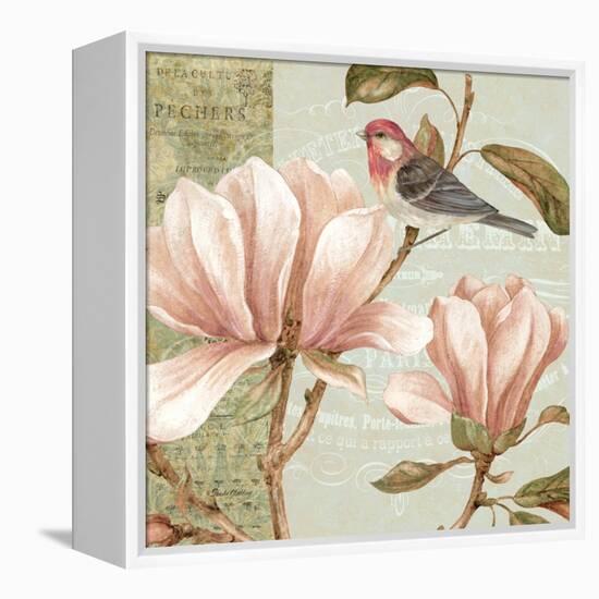 Magnolia Collage I-Pamela Gladding-Framed Stretched Canvas