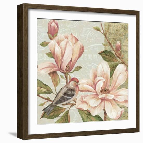 Magnolia Collage II-Pamela Gladding-Framed Art Print