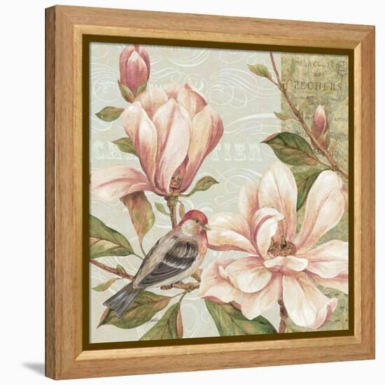 Magnolia Collage II-Pamela Gladding-Framed Stretched Canvas