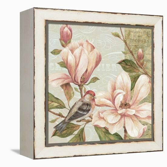 Magnolia Collage II-Pamela Gladding-Framed Stretched Canvas