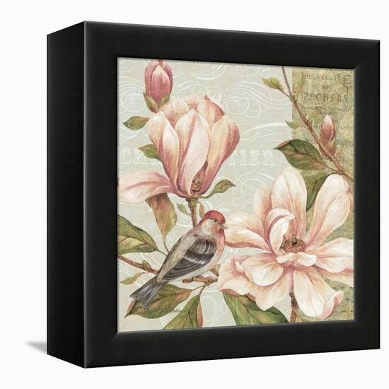 Magnolia Collage II-Pamela Gladding-Framed Stretched Canvas