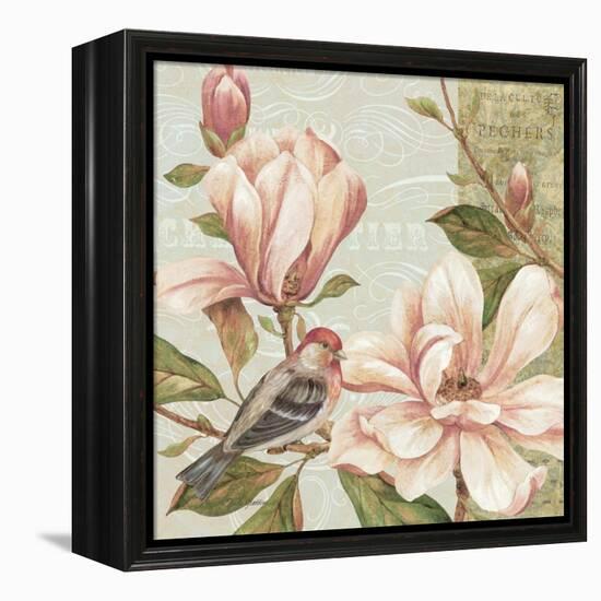 Magnolia Collage II-Pamela Gladding-Framed Stretched Canvas