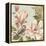 Magnolia Collage II-Pamela Gladding-Framed Stretched Canvas