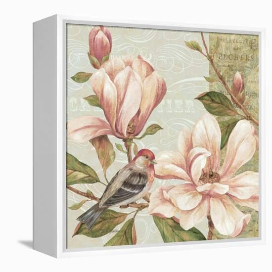 Magnolia Collage II-Pamela Gladding-Framed Stretched Canvas