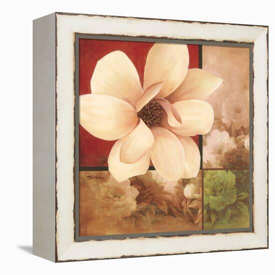 Magnolia Collage-TC Chiu-Framed Stretched Canvas