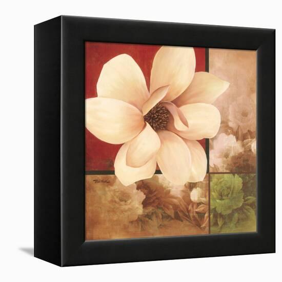 Magnolia Collage-TC Chiu-Framed Stretched Canvas