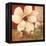 Magnolia Collage-TC Chiu-Framed Stretched Canvas