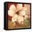 Magnolia Collage-TC Chiu-Framed Stretched Canvas