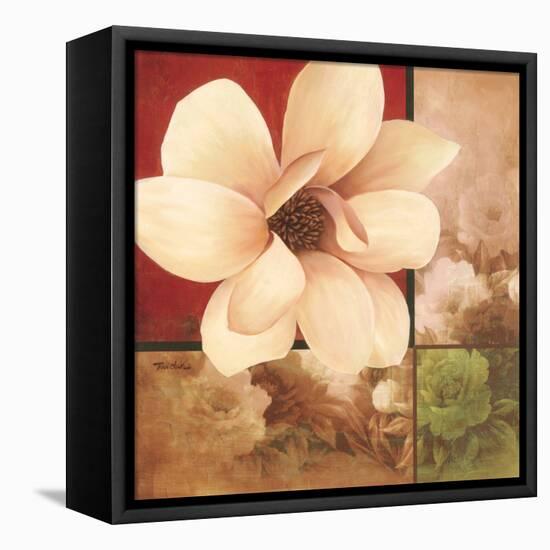 Magnolia Collage-TC Chiu-Framed Stretched Canvas