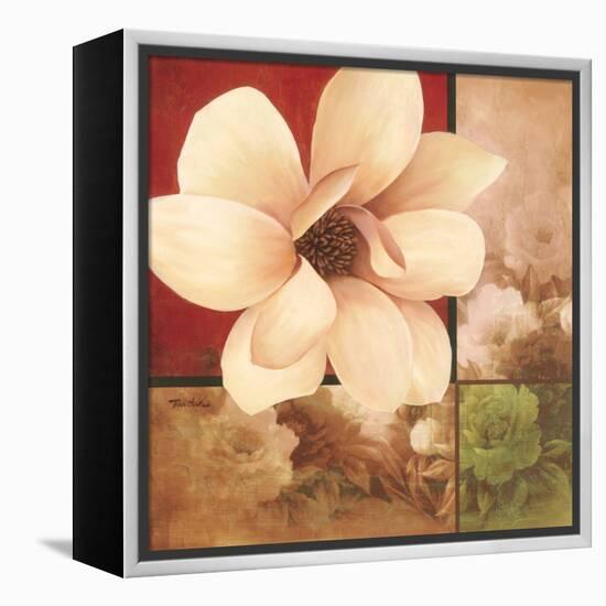 Magnolia Collage-TC Chiu-Framed Stretched Canvas