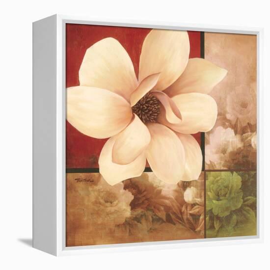 Magnolia Collage-TC Chiu-Framed Stretched Canvas