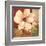 Magnolia Collage-TC Chiu-Framed Art Print