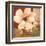 Magnolia Collage-TC Chiu-Framed Art Print