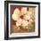 Magnolia Collage-TC Chiu-Framed Art Print