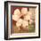 Magnolia Collage-TC Chiu-Framed Art Print