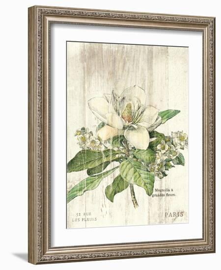 Magnolia de Printemps v2-Sue Schlabach-Framed Art Print