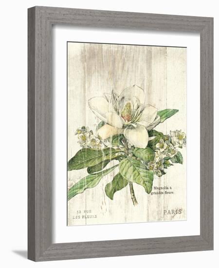 Magnolia de Printemps v2-Sue Schlabach-Framed Art Print