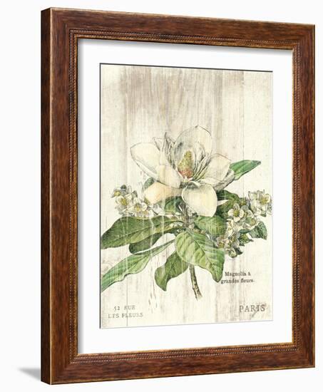 Magnolia de Printemps v2-Sue Schlabach-Framed Art Print