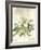 Magnolia de Printemps v2-Sue Schlabach-Framed Art Print