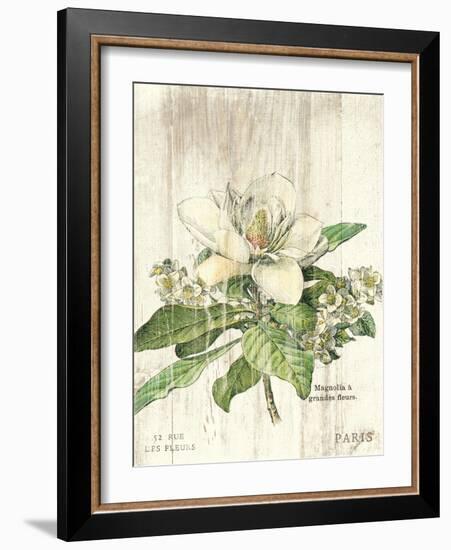 Magnolia de Printemps v2-Sue Schlabach-Framed Art Print