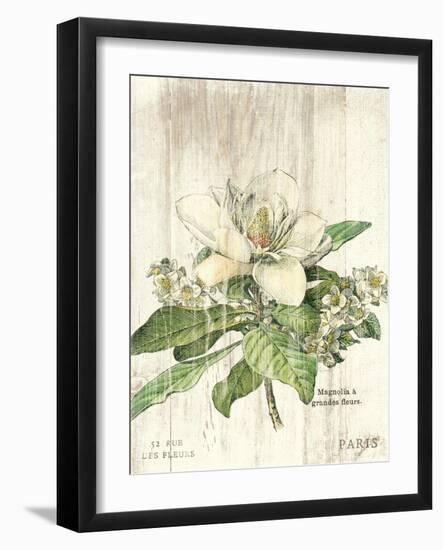 Magnolia de Printemps v2-Sue Schlabach-Framed Art Print