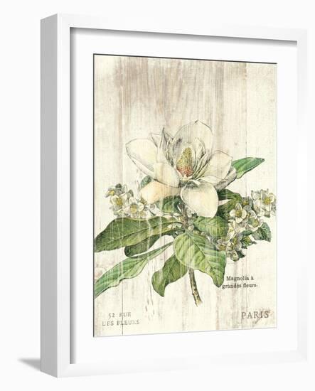 Magnolia de Printemps v2-Sue Schlabach-Framed Art Print