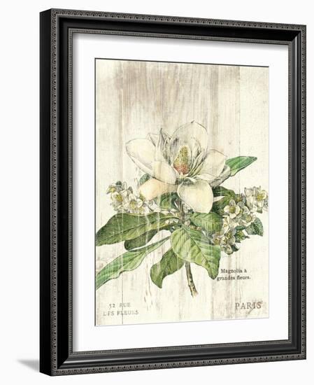 Magnolia de Printemps v2-Sue Schlabach-Framed Art Print