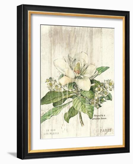 Magnolia de Printemps v2-Sue Schlabach-Framed Art Print