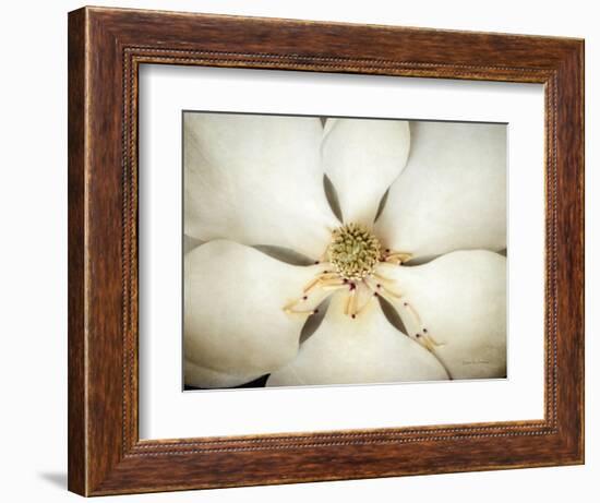 Magnolia Detail I-Debra Van Swearingen-Framed Photographic Print