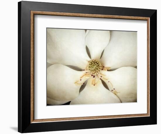 Magnolia Detail I-Debra Van Swearingen-Framed Photographic Print