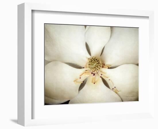 Magnolia Detail I-Debra Van Swearingen-Framed Photographic Print