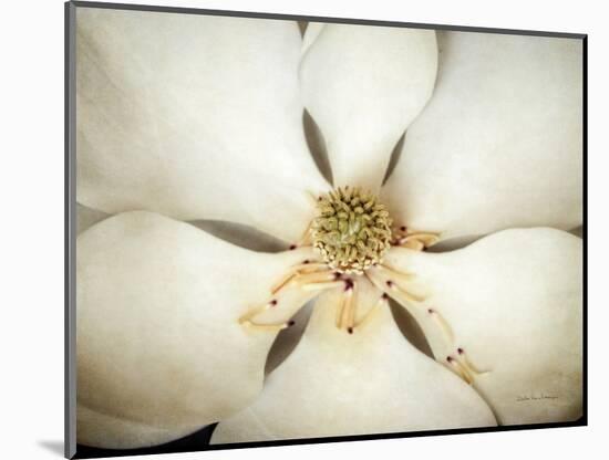 Magnolia Detail I-Debra Van Swearingen-Mounted Photographic Print
