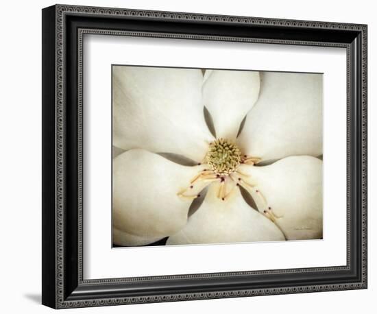 Magnolia Detail I-Debra Van Swearingen-Framed Photographic Print