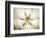 Magnolia Detail I-Debra Van Swearingen-Framed Photographic Print