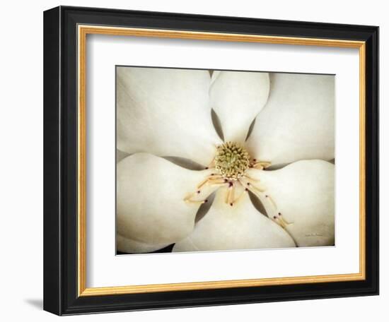 Magnolia Detail I-Debra Van Swearingen-Framed Photographic Print