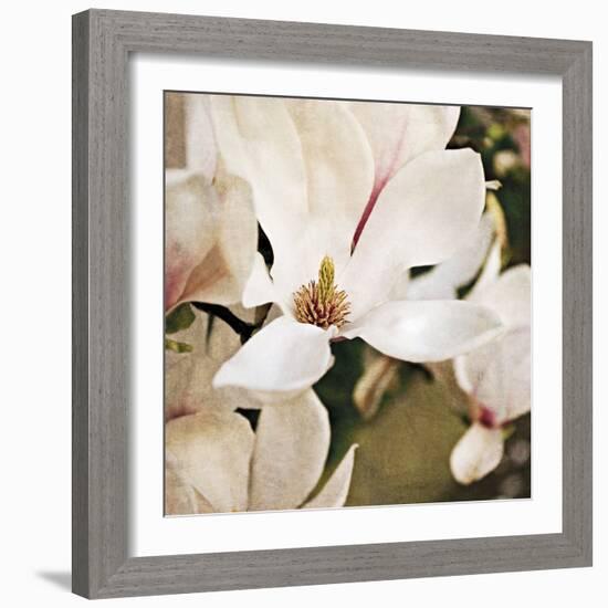 Magnolia Dusk-Pete Kelly-Framed Giclee Print