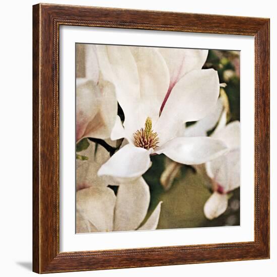 Magnolia Dusk-Pete Kelly-Framed Giclee Print