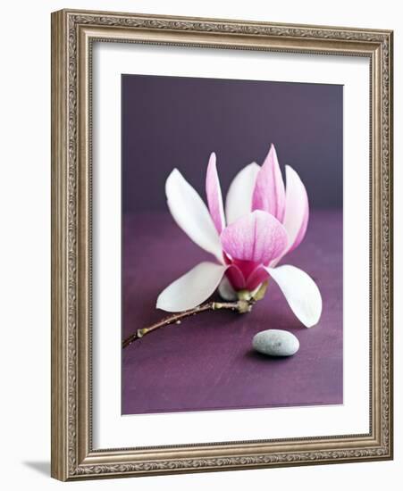 Magnolia et Caillou-Amelie Vuillon-Framed Art Print