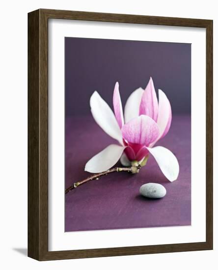 Magnolia et Caillou-Amelie Vuillon-Framed Art Print