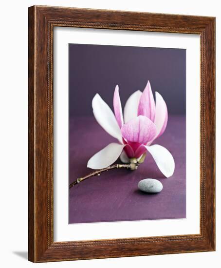 Magnolia et Caillou-Amelie Vuillon-Framed Art Print