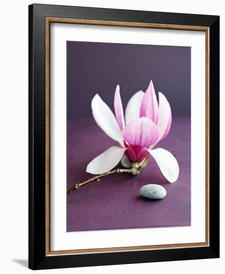 Magnolia et Caillou-Amelie Vuillon-Framed Art Print