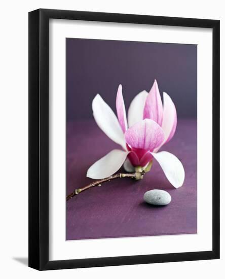 Magnolia et Caillou-Amelie Vuillon-Framed Art Print