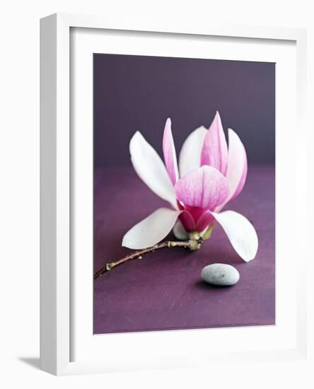 Magnolia et Caillou-Amelie Vuillon-Framed Art Print