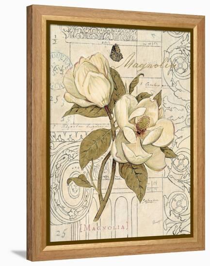 Magnolia Etching-Chad Barrett-Framed Stretched Canvas